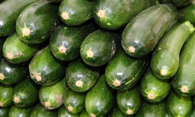 TIAN DE COURGETTES ou DE COURGES