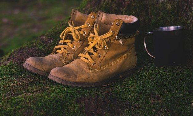 Randonnée des lucioles Evénement Annulé