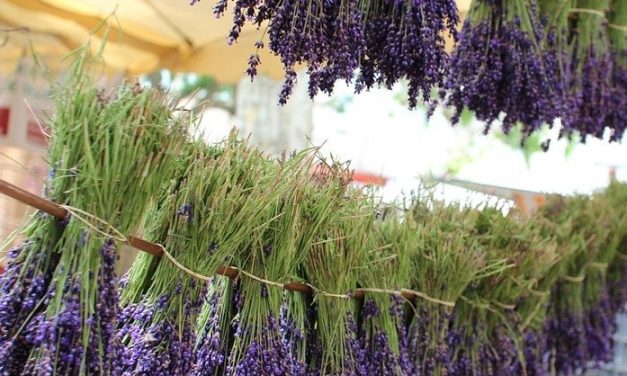 Marché Artisanal Plein V’Arts à Ramatuelle le 18 avril 2018