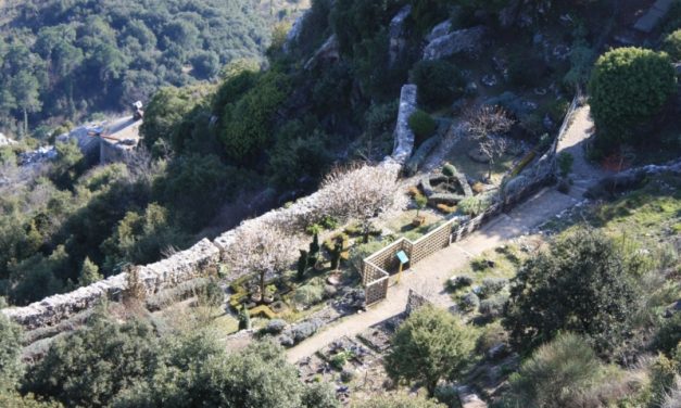 Les ruines du Château et le jardin médieval