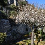 le jardin médiéval, bibi&copy;