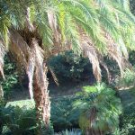 Le Domaine du Rayol, bibi&copy;