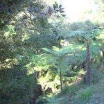 Le Domaine du Rayol, bibi&copy;