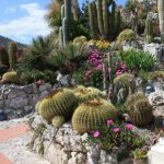 Jardin exotique, bibi&copy;