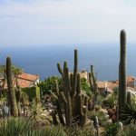 Jardin exotique, bibi&copy;