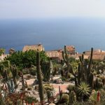 Jardin exotique, bibi&copy;