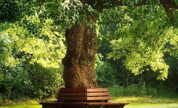 Week-end L’Arbre de Vie à Saint-Jeannet les 07 et 08 avril 2018