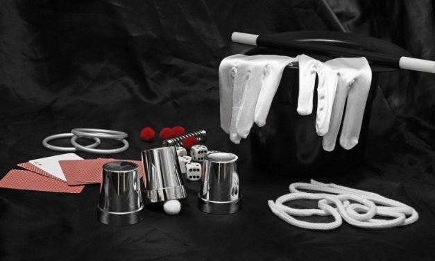 Festival Arts et Spectacles au Château de Berne le 29 AVRIL 2018