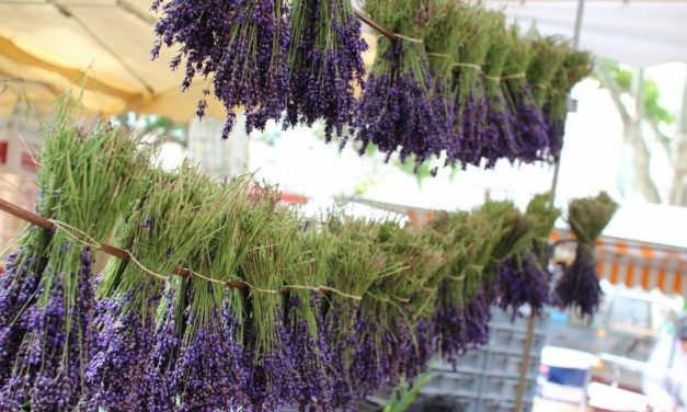 Marché nocturne au Village à Roquebrune-sur-Argens