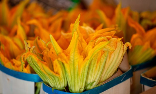 LES FARCIS NIÇOIS