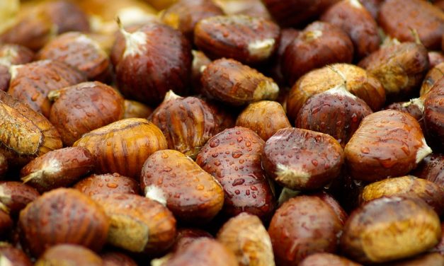 Fête des Châtaignes à La Bolline Valdeblore