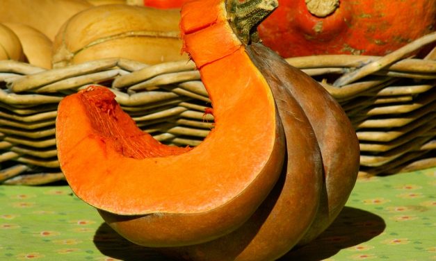 Fête de la courge à Rians