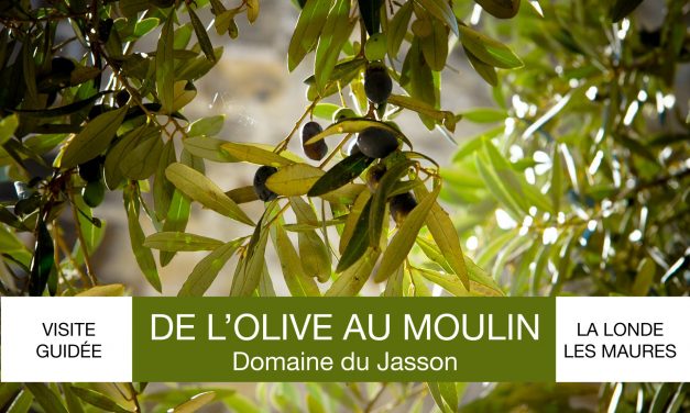 Visite guidée « de l’olive au moulin » au domaine du Jasson