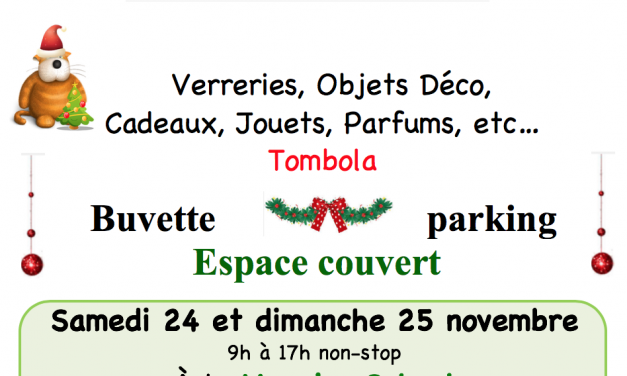 Vente au profit de l’association LES CHATS DU MERCANTOUR