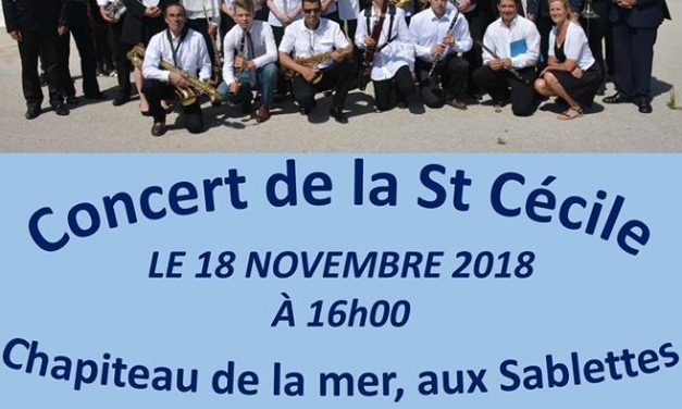 Concert de  l’orchestre philharmonique la Seynoise