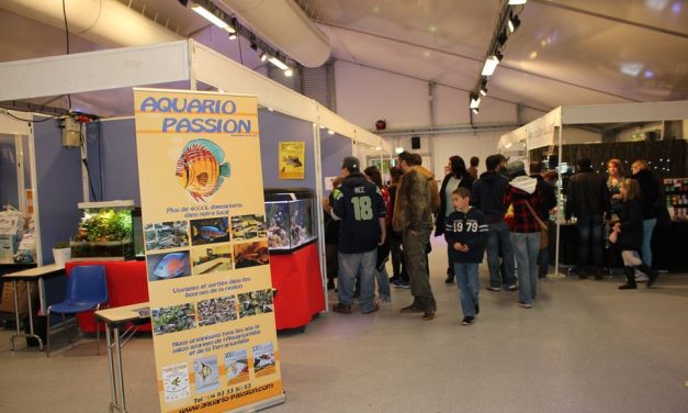 16éme salon Azuréen de l’aquariophilie et terrariophilie d’Antibes