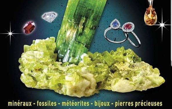 Salon minéraux bijoux météorites à Monaco