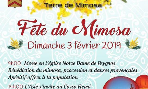 Fête du Mimosa à Tanneron