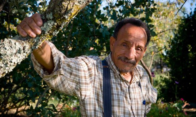 Conférence Pierre Rabhi à Grimaud
