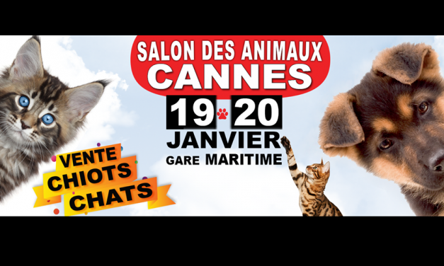 Le Salon du Chiot et du Chaton à Cannes