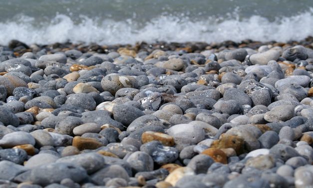 Conférence « Le voyage du galet, du Mercantour à la Baie des Anges ? »