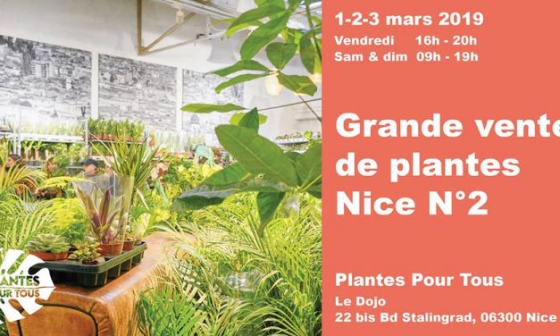 Grande Vente de Plantes Nice N°2