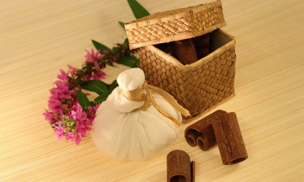 Conférence sur l’Ayurvéda à Nice