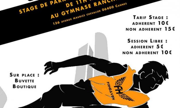 Stage de Parkour à Cannes