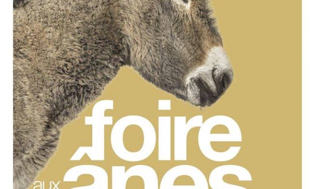 Foire aux ânes de Fréjus