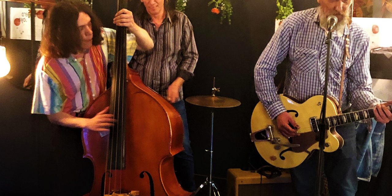 Concert The Swamp Cats chez JOYA Lifestore