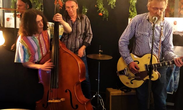 Concert The Swamp Cats chez JOYA Lifestore