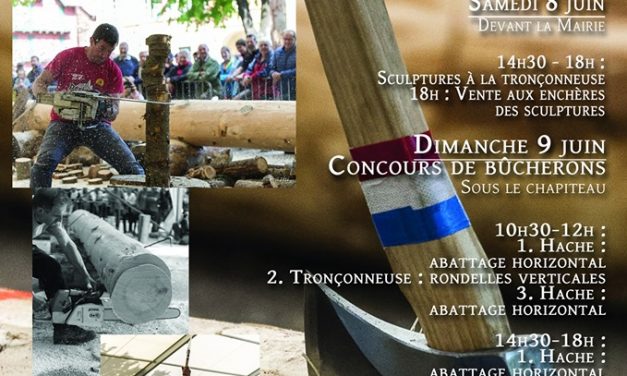 Fête du Bois à Saint-Martin-Vésubie