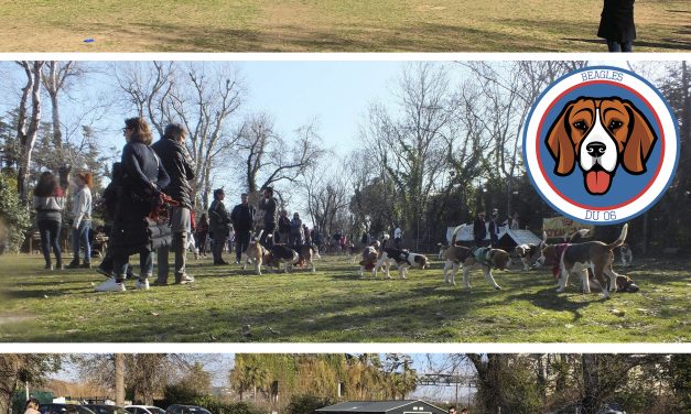 La Troisième Big Mega Beaglounade