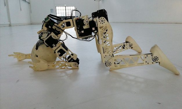 Poppy + l’infini à Toulon