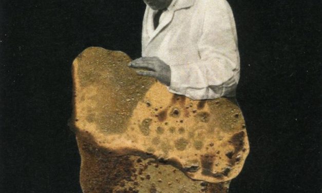 Exposition Jan Juhaniak « Fusions secrètes »