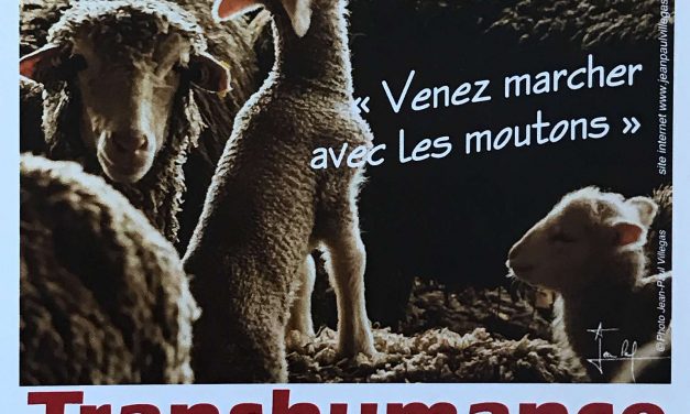 Transhumance 2019 à Roubion