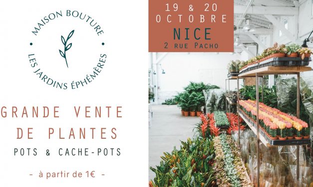 Le jardin Maison Bouture à Nice