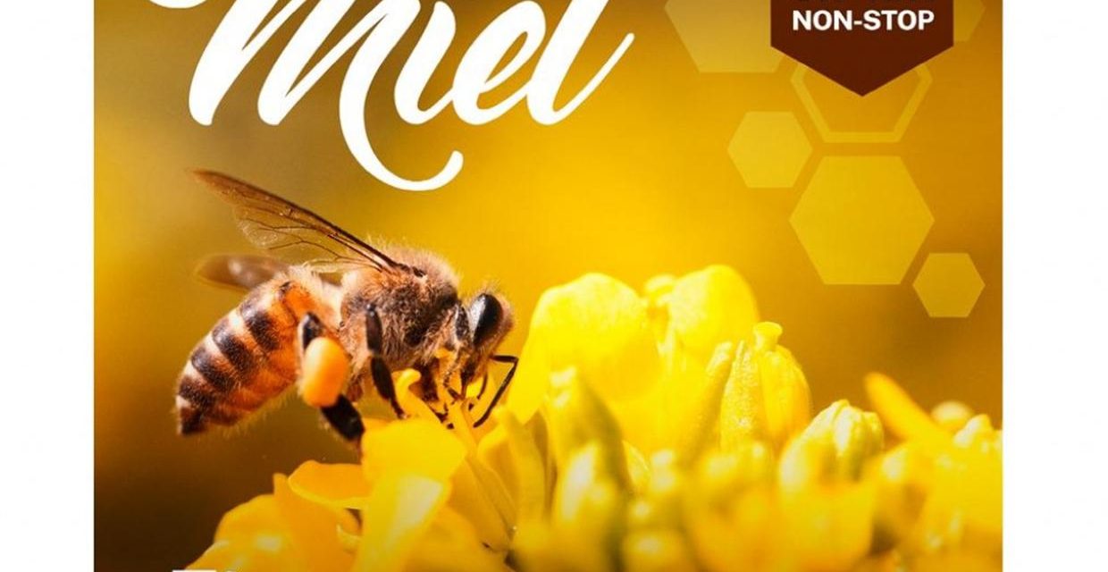 4ème Fête du Miel à Cogolin