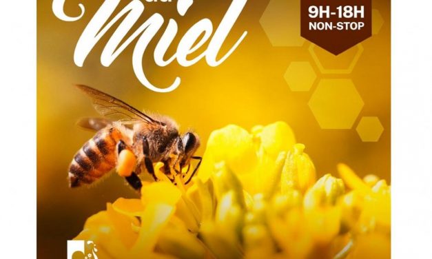 4ème Fête du Miel à Cogolin