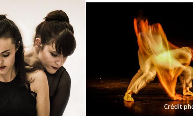 PERCEPTIO – Cie Exceedance