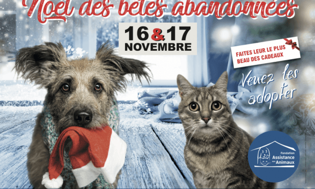 Noël des Bêtes Abandonnées