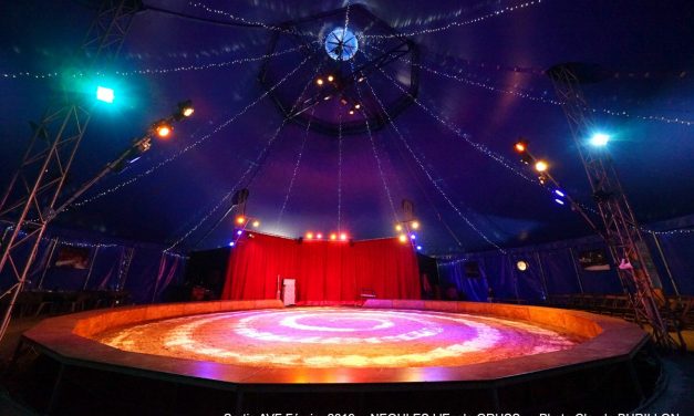 SPECTACLE DE NOËL A NEOULES