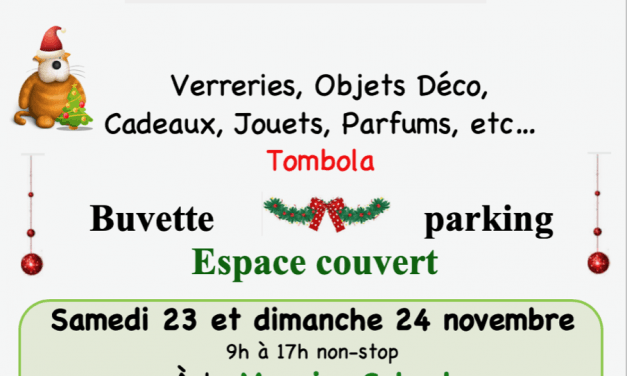 Vente de Noel au profit des Chats du Mercantour