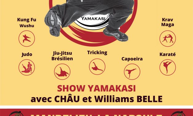 Nuit des Arts Martiaux à Mandelieu-la-Napoule