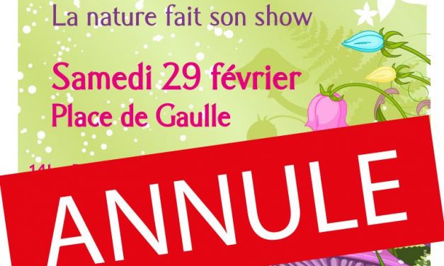 Carnaval à Cagnes-sur-Mer