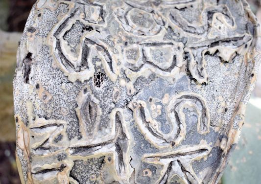 Exposition Sylvie Teissier  « Entailles»