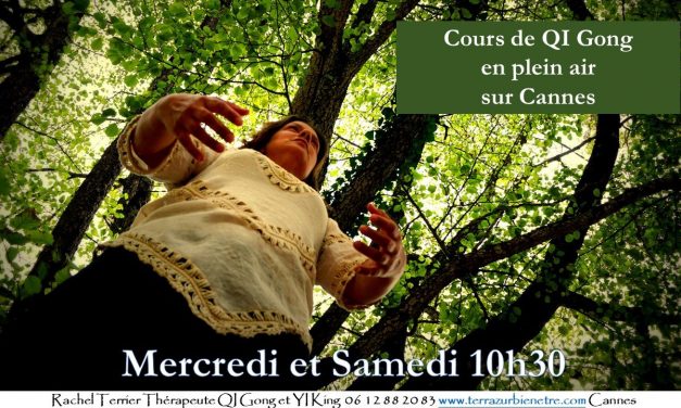 Cours en plein air de Qi Gong à Cannes