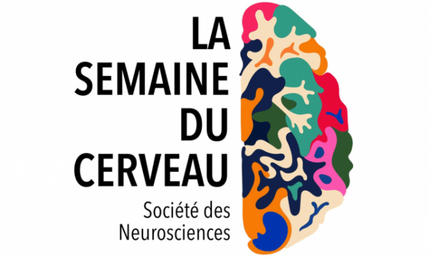 La semaine du cerveau