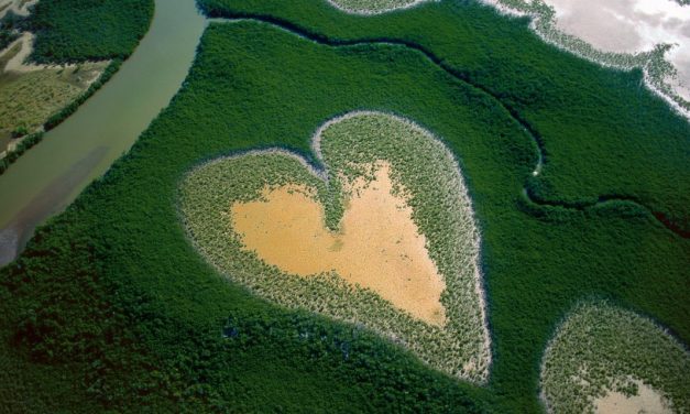 Rétrospective Yann Arthus Bertrand et portrait des tropéziens