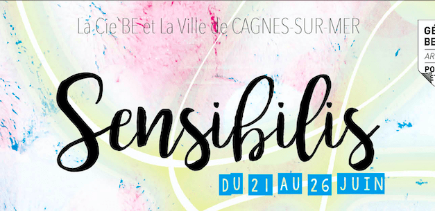 Sensibilis 10+1 an